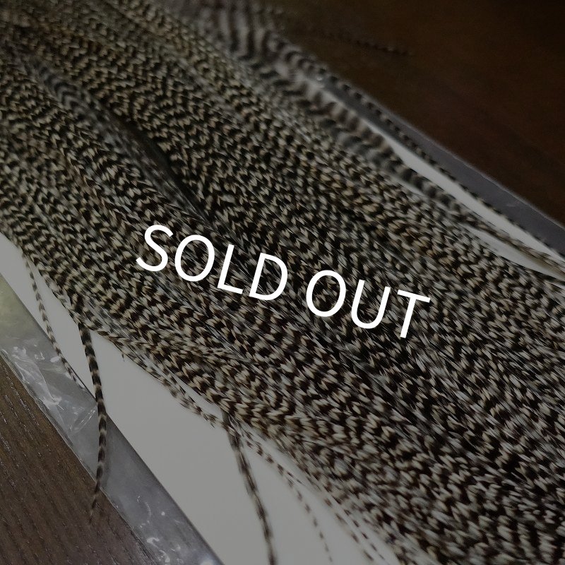 画像2: 【WHITING】 ROOSTER SADDLE BronzeGrade Grizzly #14-16 No.2 (2)