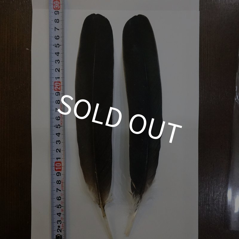 画像1: Marabou Stork ウイングクイル Sサイズ No.3 (1)