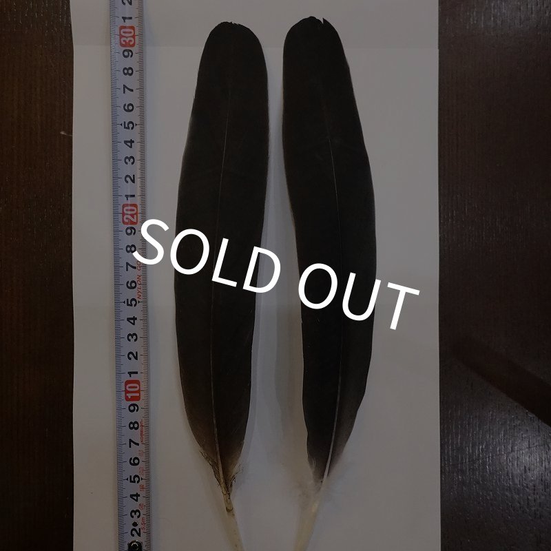 画像1: Marabou Stork ウイングクイル Sサイズ No.2 (1)