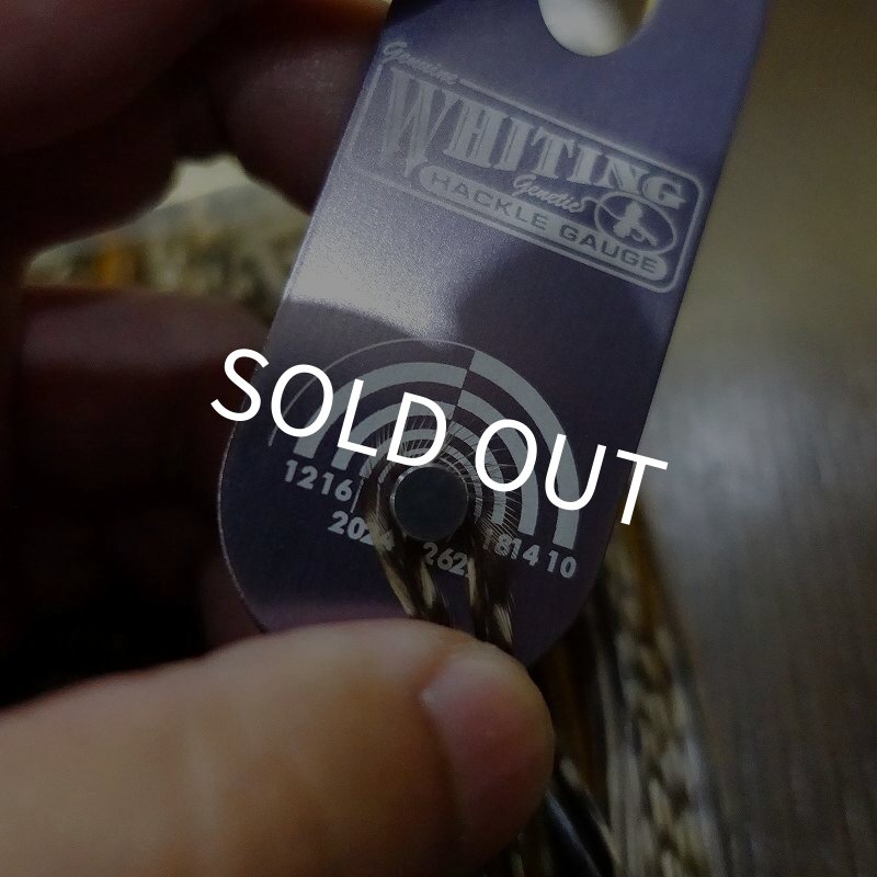 画像2:  【WHITING】 Rooster Saddle Pro Grade Unique Variant #14-16 (2)