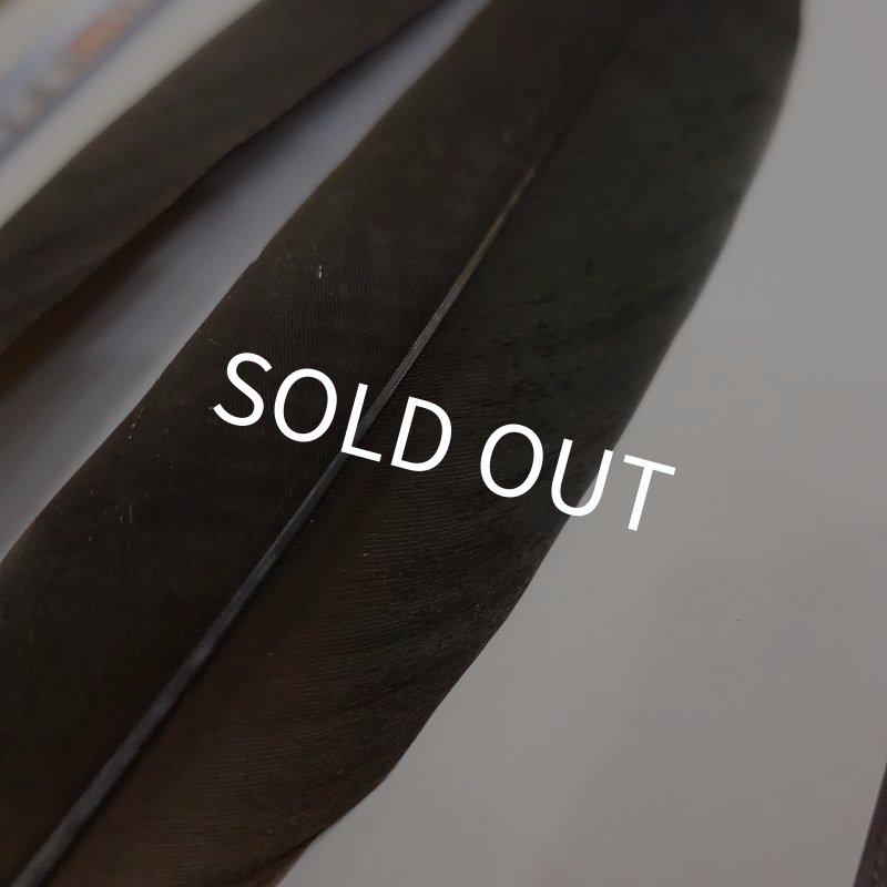 画像2: Marabou Stork ウイングクイル Sサイズ No.2 (2)