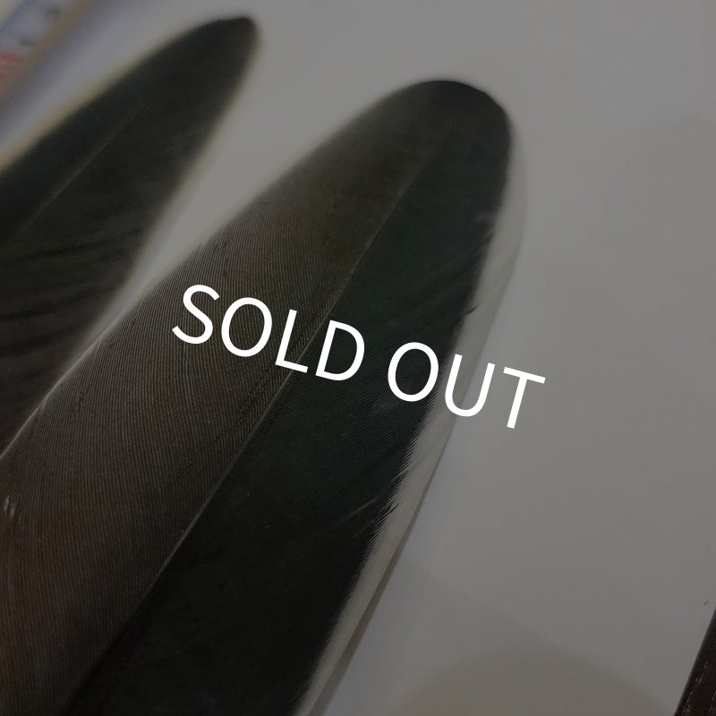 画像2: Marabou Stork ホワイトエッジクイル S(No.2) (2)