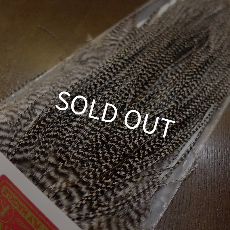 画像3: 【WHITING】 ROOSTER SADDLE BronzeGrade Grizzly #14-16 No.2 (3)