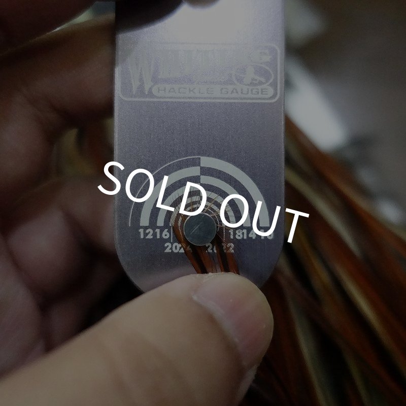 画像2:  【WHITING】 Hebert Bronze Grade Saddle Furnace #14 (2)