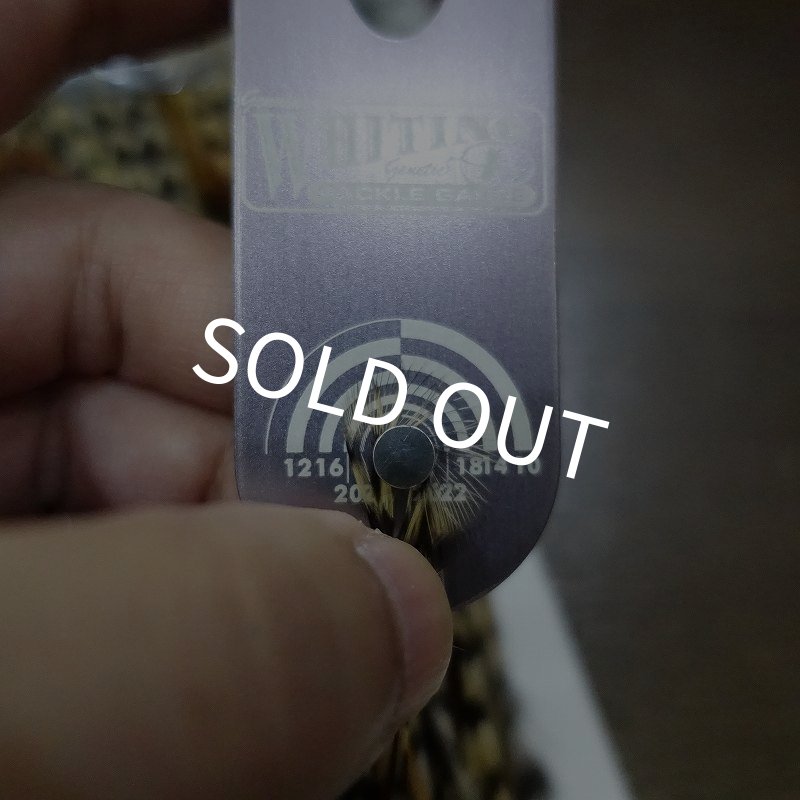 画像5: 【WHITING】 Hebert Pro Grade Saddle Cree No.3 #14 (5)