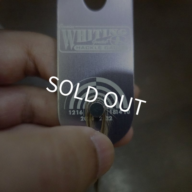 画像2: 【WHITING】 Hebert Bronze Grade Saddle Medium Brown Dun  #14 (2)