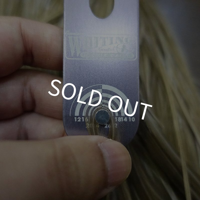 画像5: 【WHITING】 Hebert Pro Grade Saddle Medium GreyDun #14 (5)