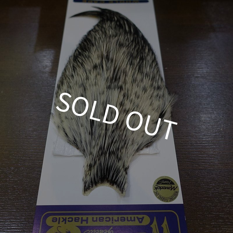 画像2: 【WHITING】American Rooster Cape BLACK LACED WHITE (2)