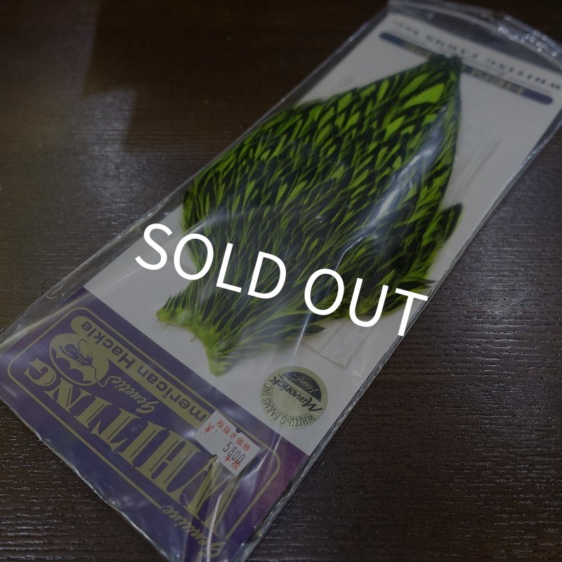 画像1: 【WHITING】American Hen Cape BLW/FL GREEN CHART (1)