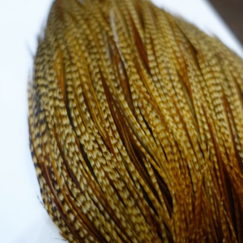 画像2: 【WHITING】 Pro Grade Cape Barred Dark Ginger NO2