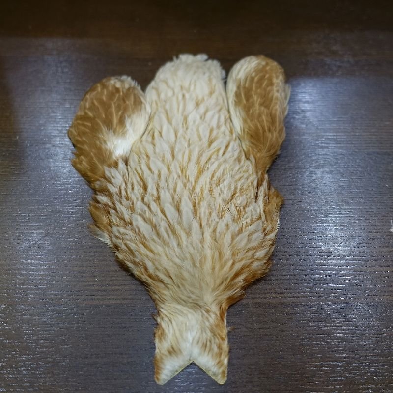 画像1: 【WHITING】4B Hen Cape Unique Variant