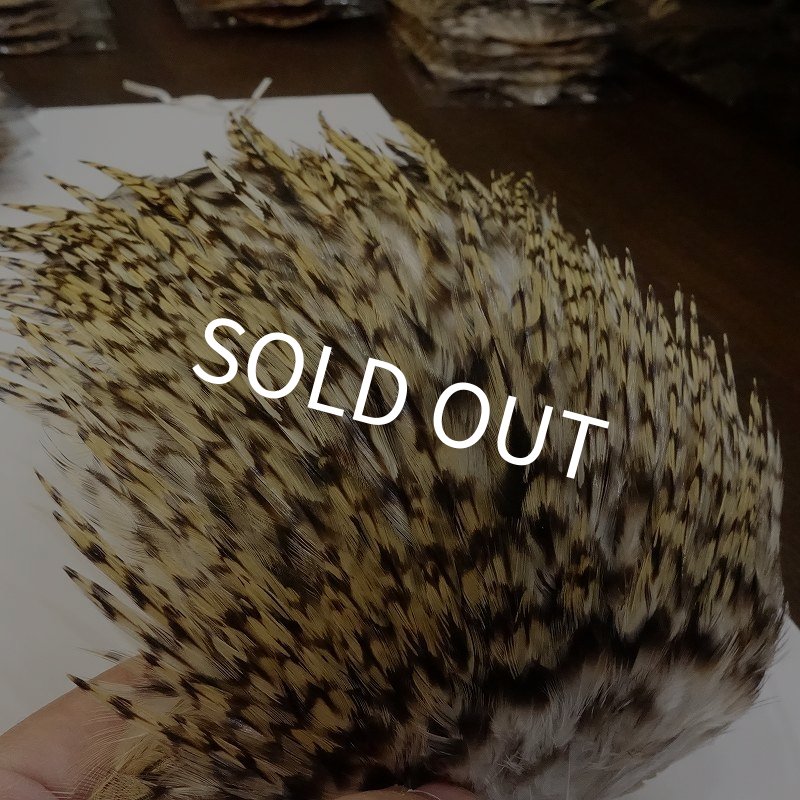 画像3: 【ANGLE】インドコックサドルパッチ(グリズリー) (3)