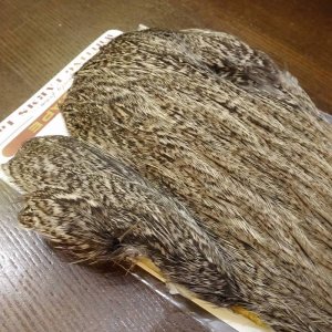 画像3: 【WHITING】Coq de Leon Hen Cape - Brown Speckled