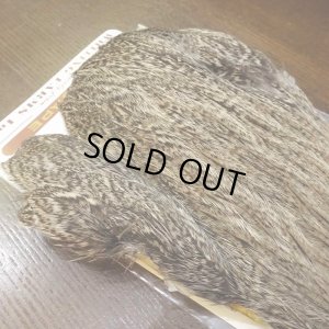 画像3: 【WHITING】Coq de Leon Hen Cape - Brown Speckled