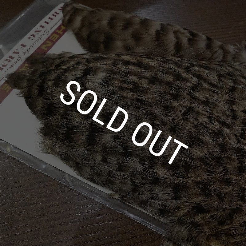 画像3: 【WHITING】Coq de Leon Hen Cape - Grizzly (3)