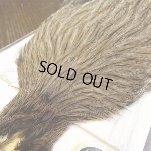 画像2: 【WHITING】Coq de Leon Hen Cape - Brown Speckled