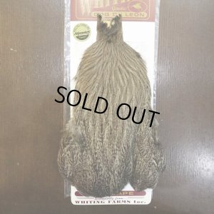 画像1: 【WHITING】Coq de Leon Hen Cape - Brown Speckled