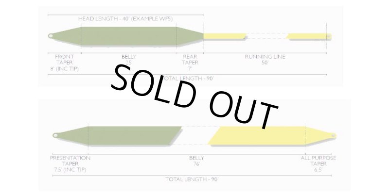 画像3: 【AIRFLO】 SUPERFLO ELITE WF (3)