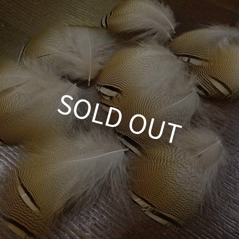 画像2: Wood Duck バルクパック (2)