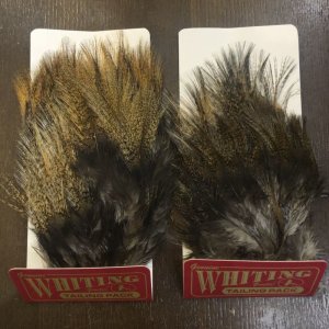 画像1: 【WHITING】Coq de Leon TAILING PACK