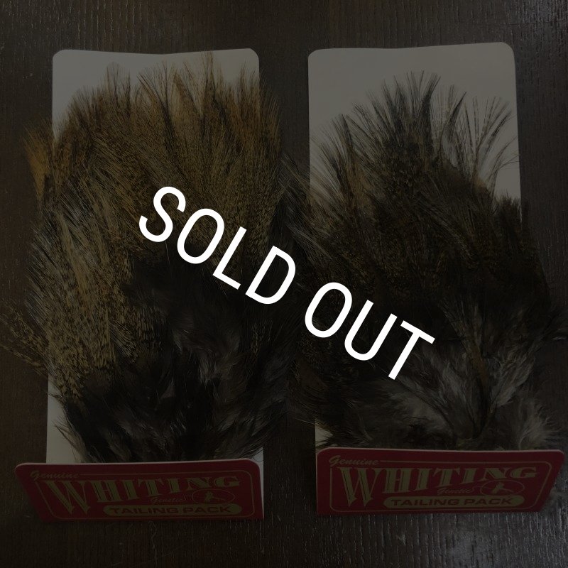 画像1: 【WHITING】Coq de Leon TAILING PACK (1)