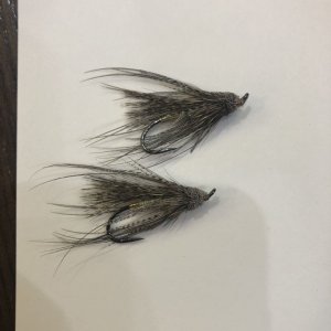 画像2: 【WHITING】Coq de Leon TAILING PACK