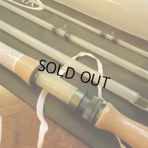 画像4: 【VISION】GLASS SALMON 12'0" #8