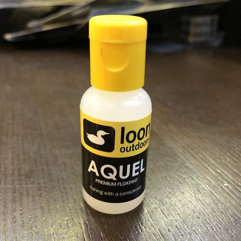 画像1: 【Loon】AQUEL (1)