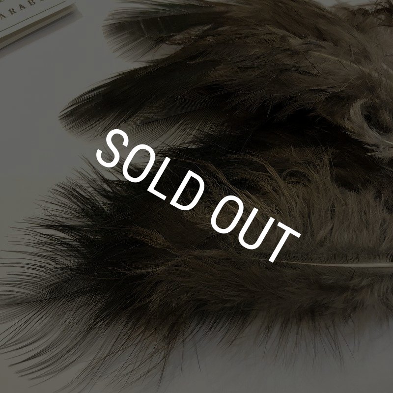 画像2: 【CANAL】 Peacock Marabou (2)