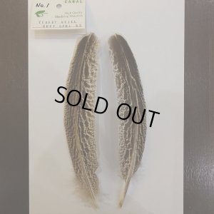 画像2: 【CANAL】 Turkey Quill Grey Speckled No.2(2)