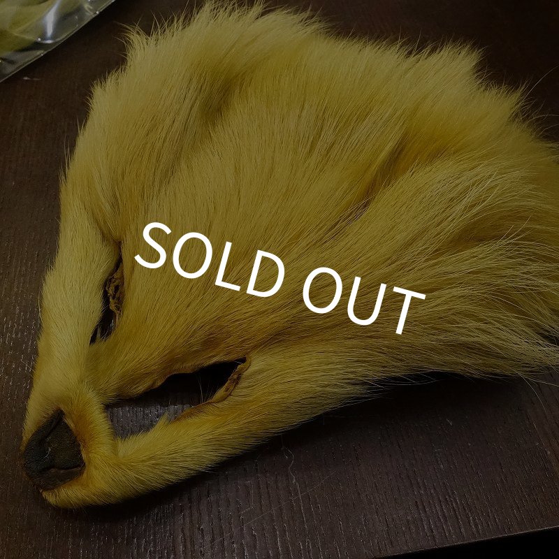 画像2: 【CANAL】 FINN RACCOON MASK (2)