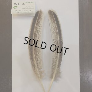 画像5: 【CANAL】 Turkey Quill Grey Speckled No.2(2)