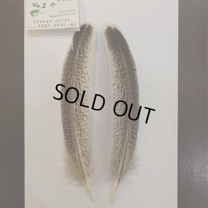 画像3: 【CANAL】 Turkey Quill Grey Speckled No.2(2)