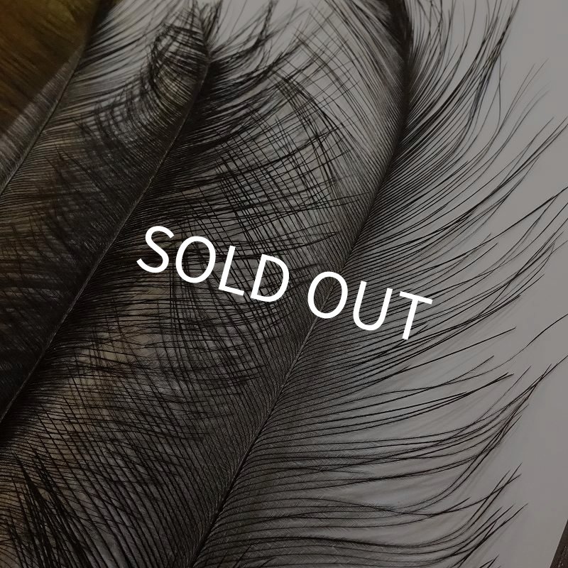 画像2: 【CANAL】Rhea Feather - Black (2)