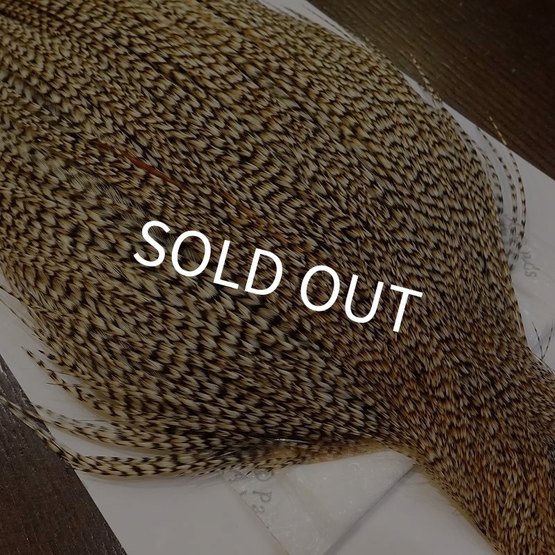 画像3: 【WHITING】Silver Grade Cape Unique Variant (3)