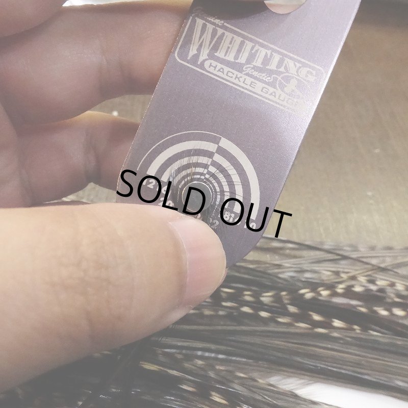 画像5: 【WHITING】 Hebert Bronze Grade Saddle Grizzly Variant ＃12 (5)