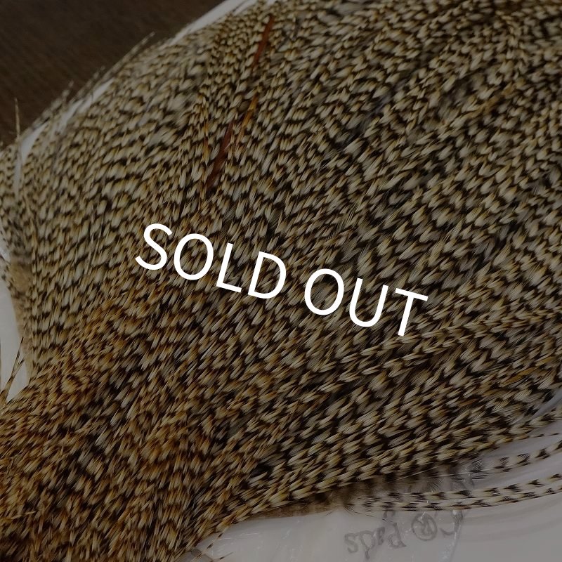 画像2: 【WHITING】Silver Grade Cape Unique Variant (2)