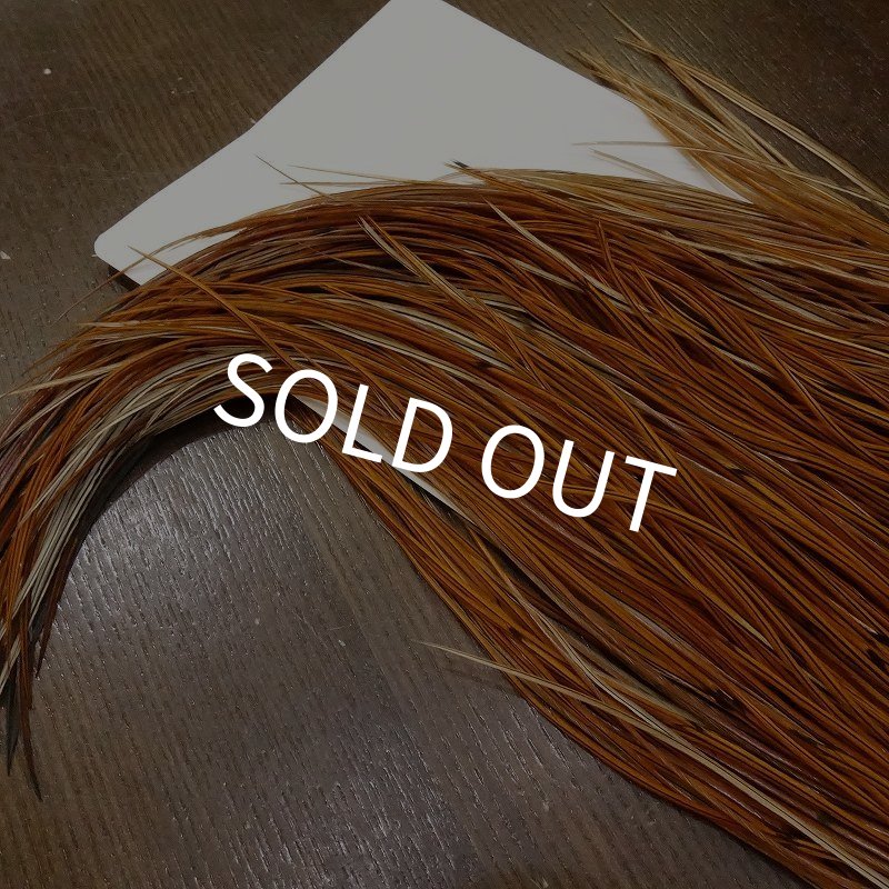 画像4: 【WHITING】 Rooster Saddle BronzeGrade Furnace #14-16 No.2 (4)