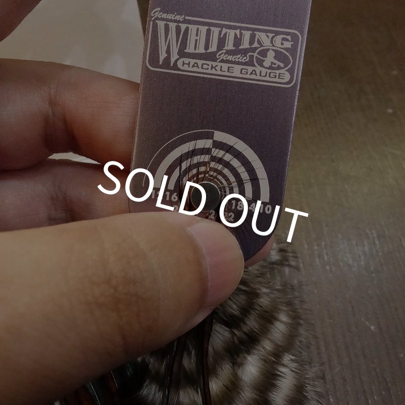 画像5: 【WHITING】 Hebert Silver Grade Saddle Grizzly Variant ＃10-12 (5)