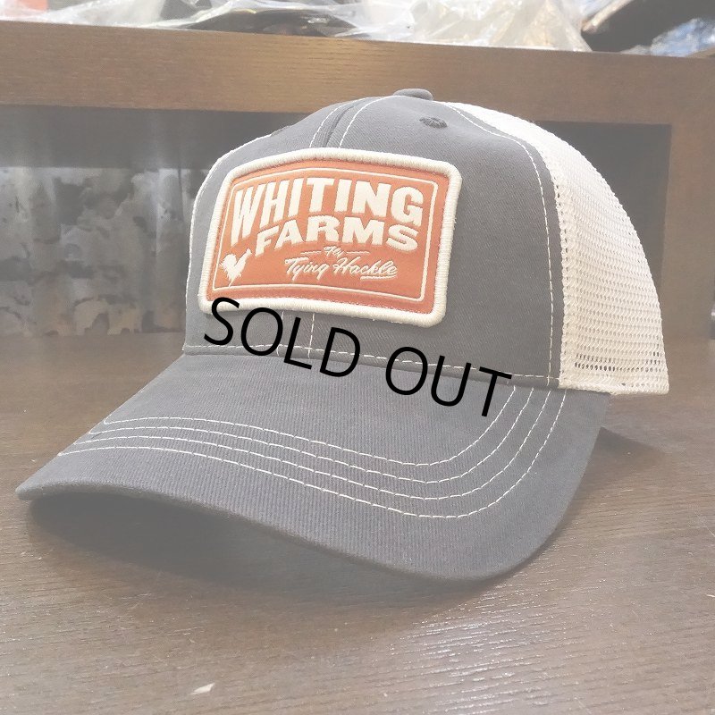 画像2: 【Whiting】BRUSHED TWILL/MESH CAP (2)