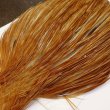 画像3: 【Whiting】Bronze Grade Cape Honey Dun (3)
