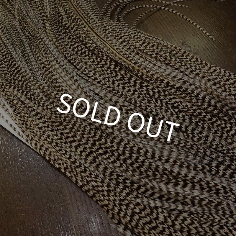 画像3: 【WHITING】 ROOSTER SADDLE SilverGrade Grizzly #14 (3)