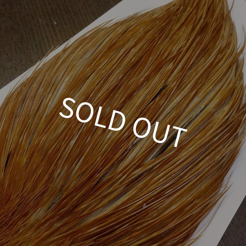 画像4: 【Whiting】Bronze Grade Cape Honey Dun (4)