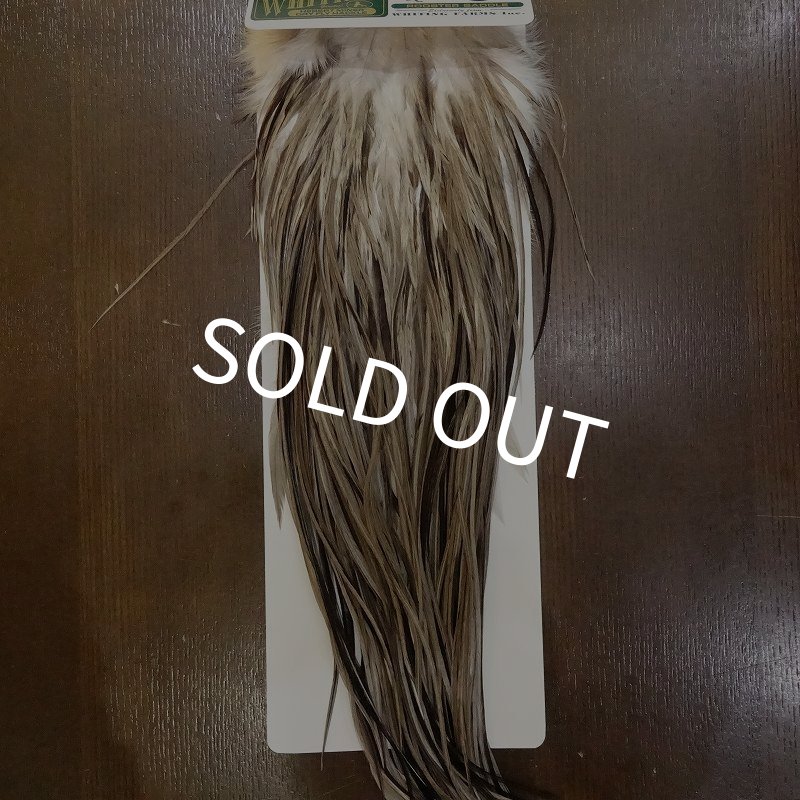 画像1: 【WHITING】Hebert Bronze Grade Saddle Medium GreyDun #14 (1)