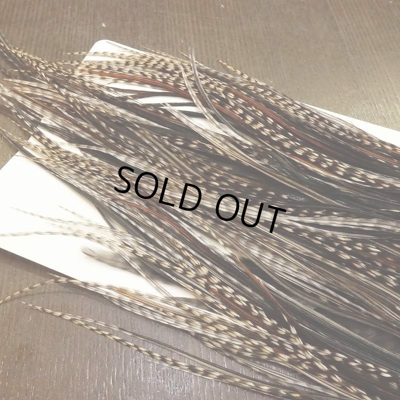 画像4: 【WHITING】 Hebert Bronze Grade Saddle Grizzly Variant ＃12 (4)