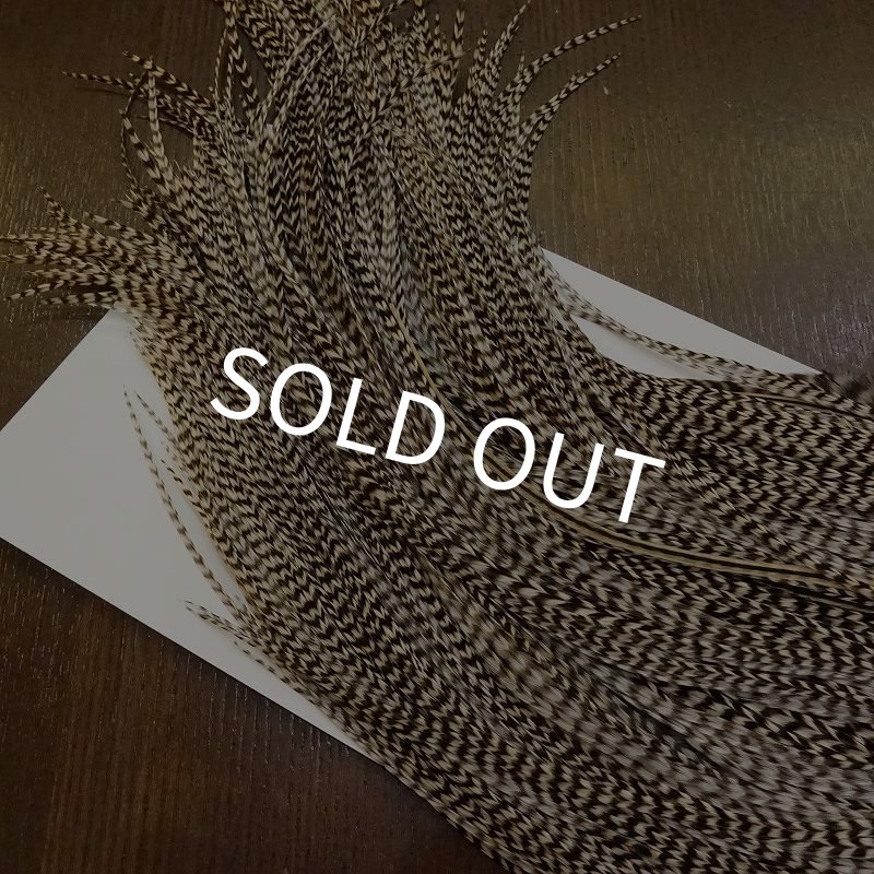 画像4: 【WHITING】 ROOSTER SADDLE SilverGrade Grizzly #14 (4)