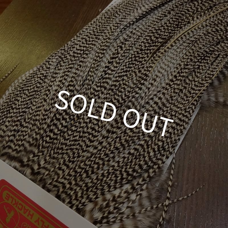 画像2: 【WHITING】 ROOSTER SADDLE SilverGrade Grizzly #14 (2)