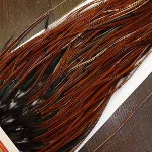 画像2: 【WHITING】Rooster Saddle BronzeGrade Furnace #16-18 No.1