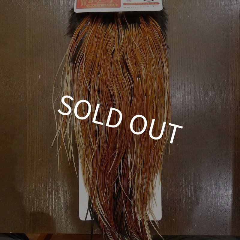 画像1: 【WHITING】 Rooster Saddle BronzeGrade Furnace #14-16 No.2 (1)