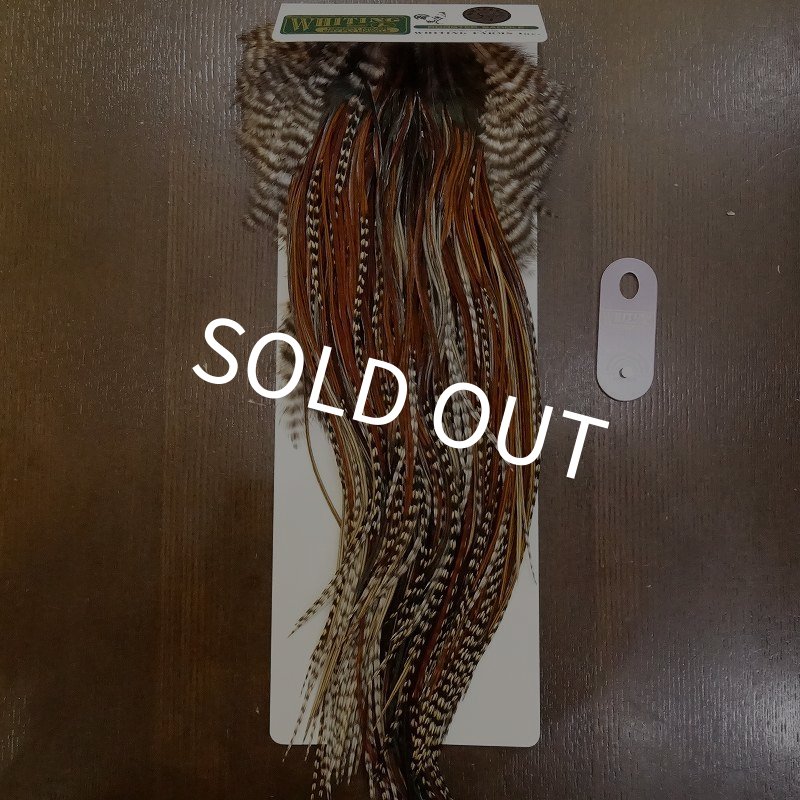 画像1: 【WHITING】 Hebert Silver Grade Saddle Grizzly Variant ＃10-12 (1)